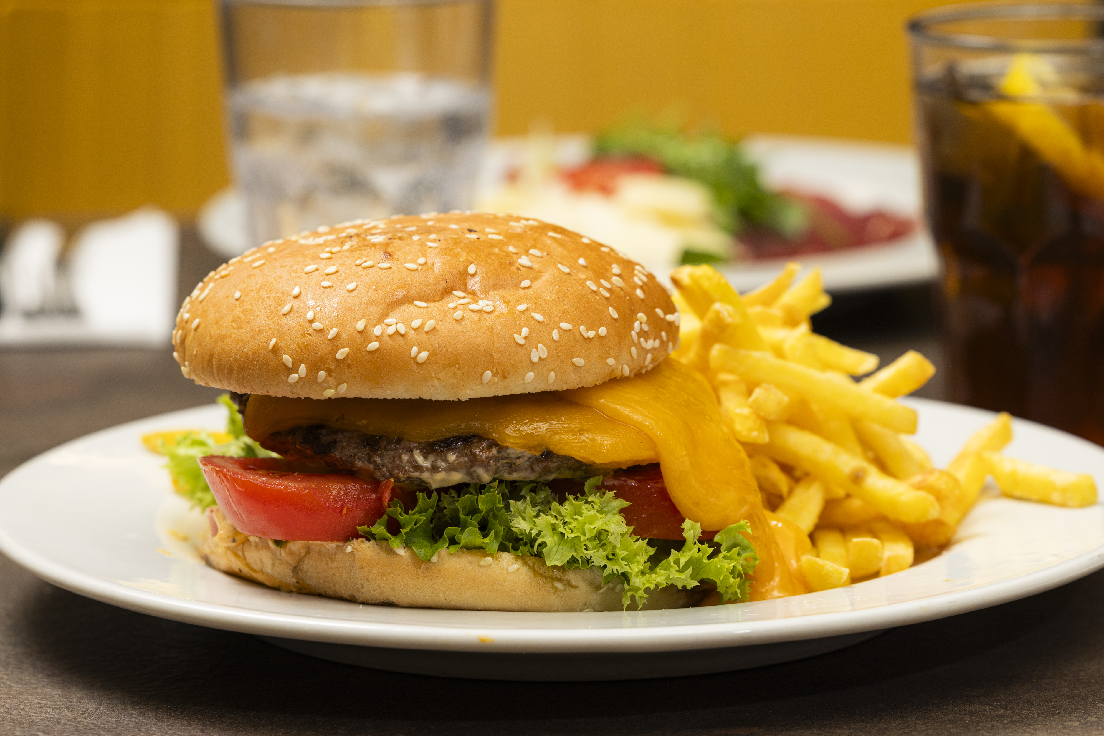 Hamburger | Splash & Spa Tamaro